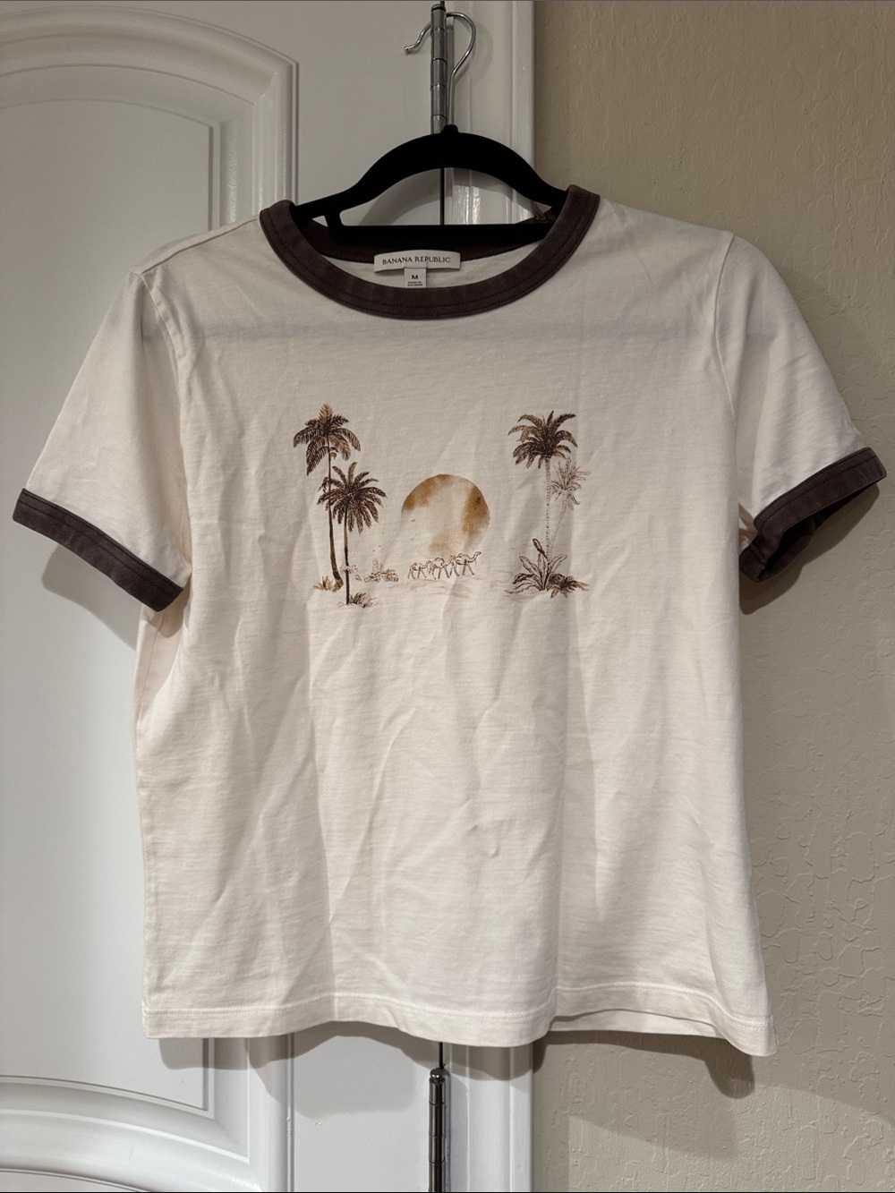 Banana Republic Cream Tee with Brown Ringer and Palm Graphic